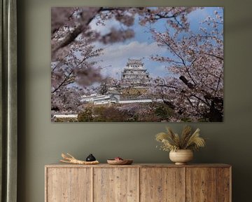 Kasteel Himeji van Schram Fotografie