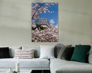 Kasteel Himeji van Schram Fotografie