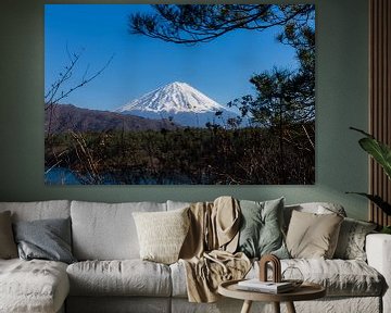 Uitzicht op Mt. Fuji van Schram Fotografie