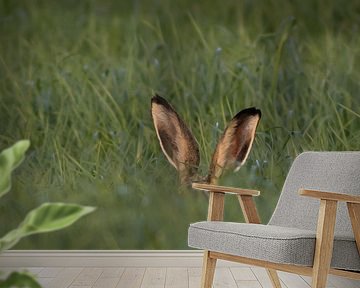 mijn naam is haas by renata de wit