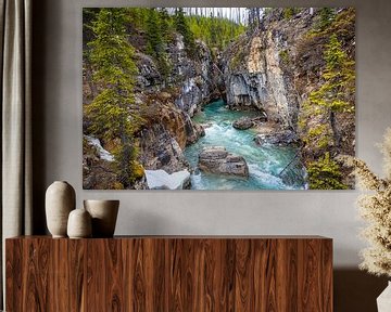 Marble canyon, Kootenay National Park, Canada van Rietje Bulthuis