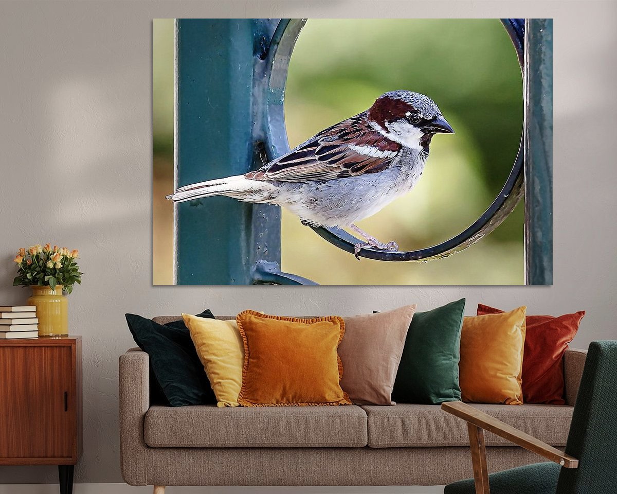 Raumvorschau