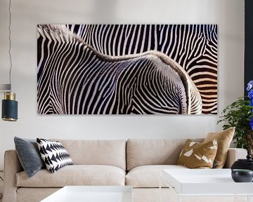 Twee zebra's van Werner Dieterich