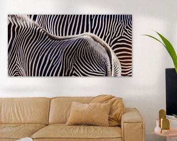 Twee zebra's van Werner Dieterich