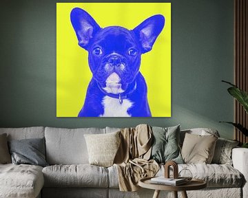 süße Französische Bulldogge lustiger Hund Humor von Felix Brönnimann