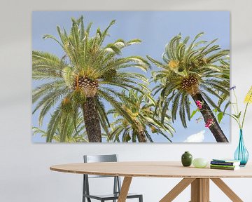 Palmbomen in Italië van Mark Bolijn
