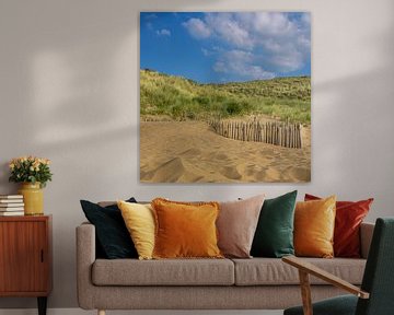 Beach and dunes by Patrick Herzberg