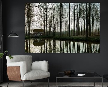 Reflets d'arbres sur Stefan Zwijsen