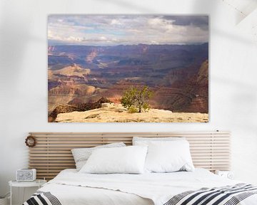 Big things often have small beginnings, Grand Canyon von Colin Bax