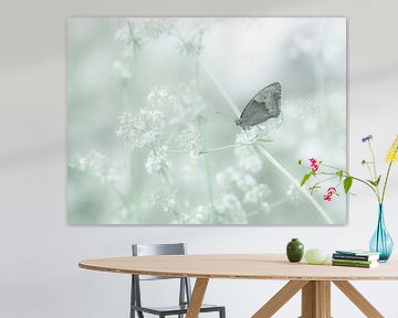 Droomwereld (een vlinder in een droomwereld) van Birgitte Bergman