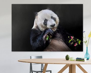 Panda van Patrick Scholte