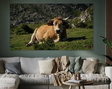 Koe bij Covadonga van Erik van Geer
