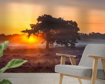 Sunrise, The Hoorneboegse Heath by Anthony Trabano