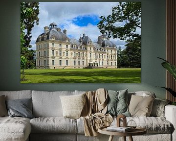 Zijkant kasteel Cheverny