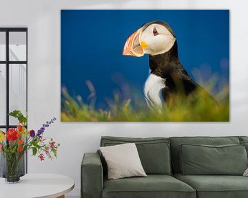 An Atlantic Puffin Enjoying the Icelandic Evening Sun by Koen Hoekemeijer