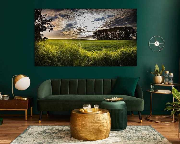 Aperçu de la chambre