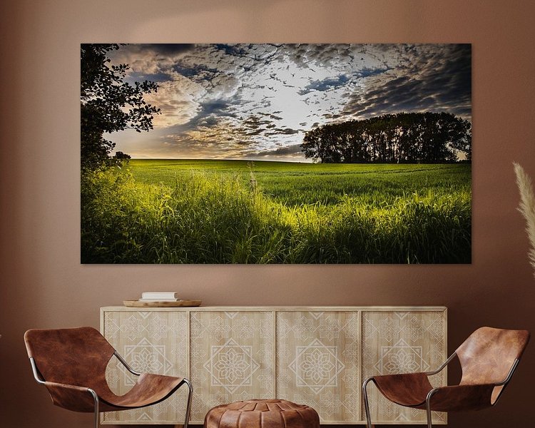 Aperçu de la chambre