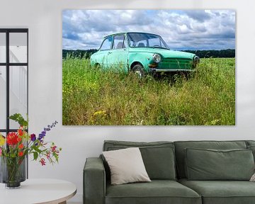 Groene Daf personenauto in een Zomers weideveld van Evert Jan Luchies