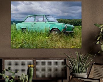 Voiture particulière Daf verte dans une prairie d'été sur Evert Jan Luchies