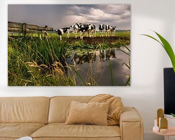 Cows in bad weather. by Danny den Breejen