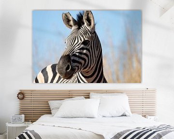 Zebra in Zuid-Afrika van Eline en Siebe Weersma