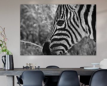 Zebra (zwart-wit) van Eline en Siebe Weersma