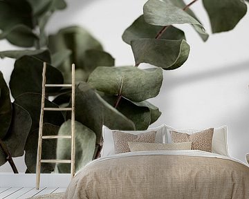 eucalyptus by Melanie Schat