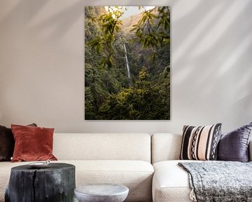 Bezaubernder Wasserfall auf Madeira von Visuals by Justin