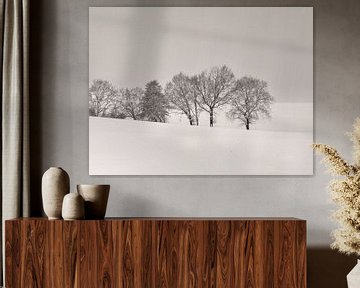 Winter Trees on Hills van Lena Weisbek