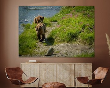 Grizzly moederbeer met jong lopend langs de rivier, Alaska van Rietje Bulthuis