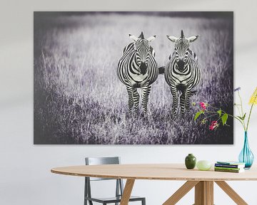 Samen naast elkaar - zebra