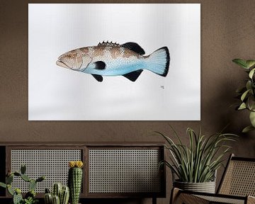 Fish -Series A by Martino Romijn