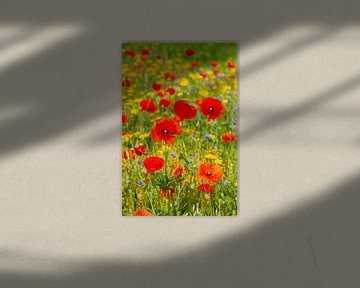 Ein Feld voller Wildblumen von John Kreukniet