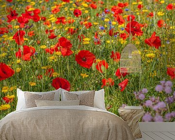 Een veld vol met bloeiende wilde bloemen van John Kreukniet