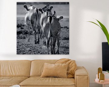 Zebra-Pfad von Fotografie Jeronimo