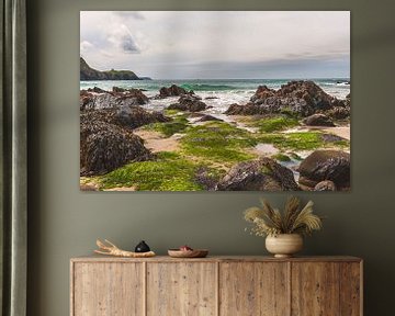 Kleuren op het strand van Anouschka Hendriks