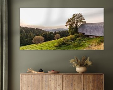 Schwarzwald boerderij in het Zwarte Woud bij zonsondergang van Werner Dieterich