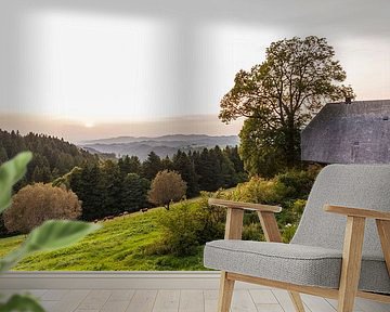 Typical farm at the Black Forest in Germany by Werner Dieterich