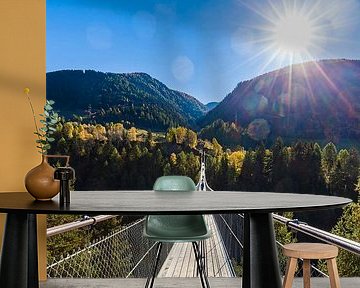 Hangbrug Gomsbrug in het Wallis in Zwitserland van Werner Dieterich
