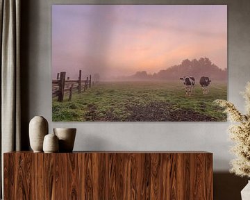 photo of an atmospheric foggy colorful sunrise in a Flemish field, a meadow with cows, Menen, West F