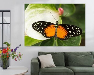 Kleurrijke vlinder von Piebe van den Berg