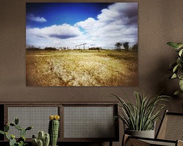 Wolken over veld van Elo Mars