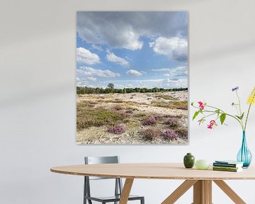 Pano Zuiderheide Laren North Holland, blühende Heide und Sanddrift von Martin Stevens