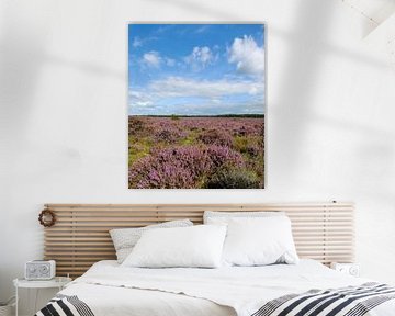 Pano Zuiderheide Laren North Holland, blind heathland by Martin Stevens