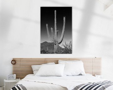 SAGUARO NATIONAL PARK Giant Saguaro by Melanie Viola