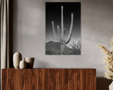 SAGUARO NATIONAAL PARK Saguaro Cactus van Melanie Viola