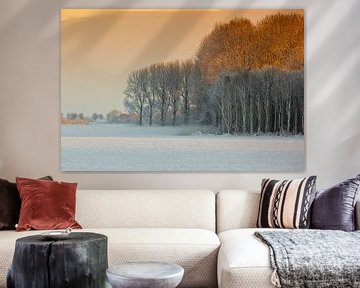 Sneeuwlandschap in Nederland van Andy Van Tilborg