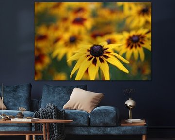 Gelbe Blumen von MSP Canvas