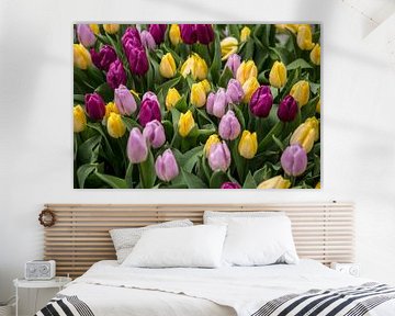 Tulpen in Amsterdam van Sander de Jong