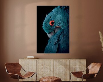 Blauwe ara vogel met vintage kleurstelling - Blauw - Papegaai - Ara - Kaketoe - Vogel - Vleugels - V